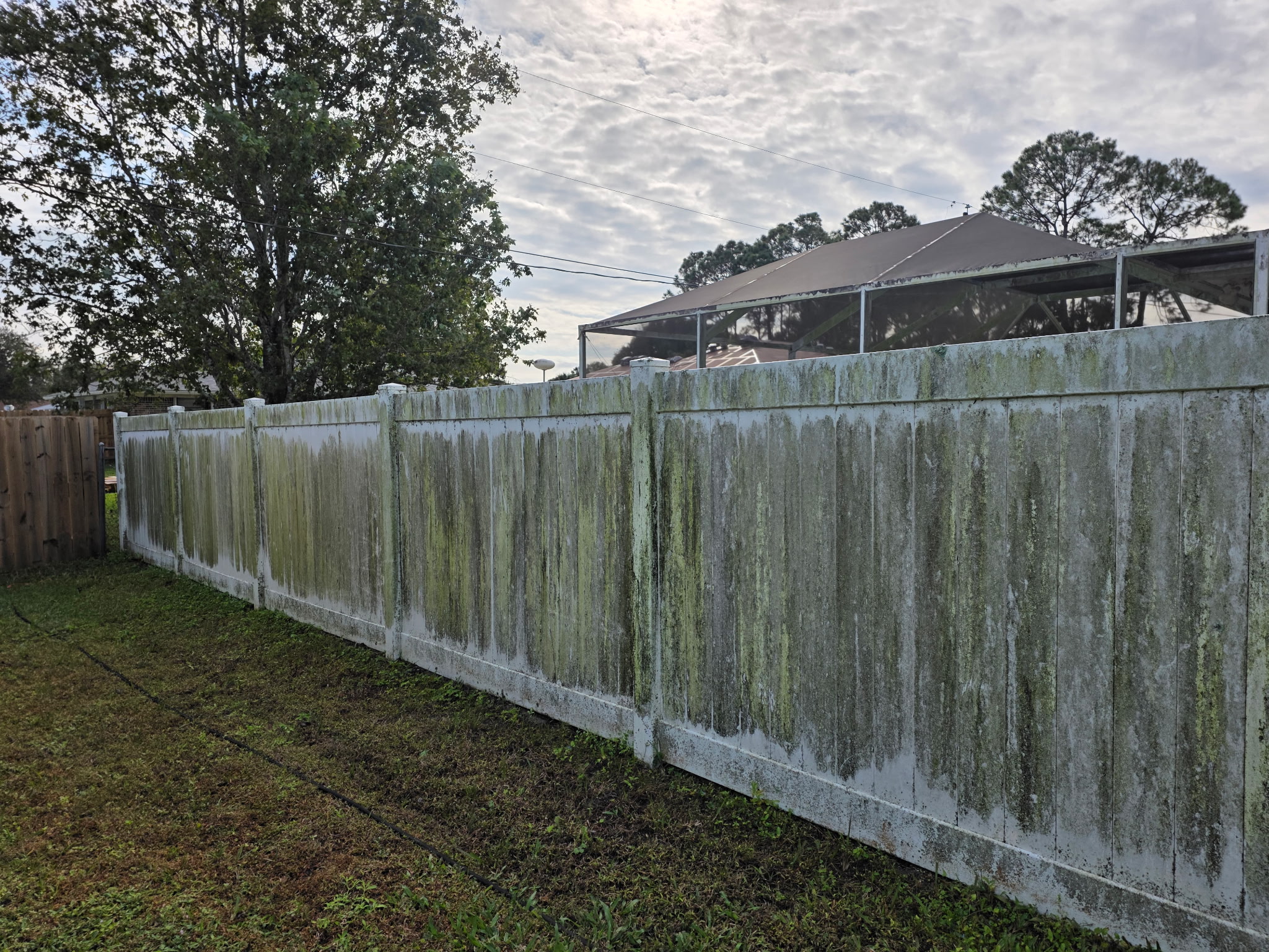 Fence exterior before washing